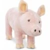 Pluchen Varken -Speelgoed Verkoop pluchen varken
