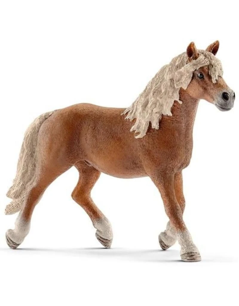 Schleich Horses 13813 - Haflinger Hengst 3 Schleich Horses 13813 - Haflinger Hengst