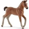 Schleich Horses 13818 - Hannover Veulen -Speelgoed Verkoop schleich schleich horses 13818 hannover veulen