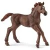 Schleich Horses 13857 - Engelse Volbloed Veulen -Speelgoed Verkoop schleich schleich horses 13857 engelse volbloed ve