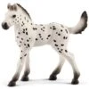 Schleich Horses 13890 - Knabstrupper Veulen -Speelgoed Verkoop schleich schleich horses 13890 knabstrupper veulen