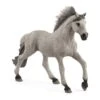 Schleich Horses 13915 - Sorraia Mustang Hengst -Speelgoed Verkoop schleich schleich horses 13915 sorraia mustang hen
