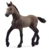 Schleich Horses 13954 - Peruviaansse Pasoveulen -Speelgoed Verkoop schleich schleich horses 13954 peruviaansse pasove