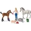 Schleich Horses 42486 - Dierenarts Met Merrie En Veulen -Speelgoed Verkoop schleich schleich horses 42486 dierenarts met merr